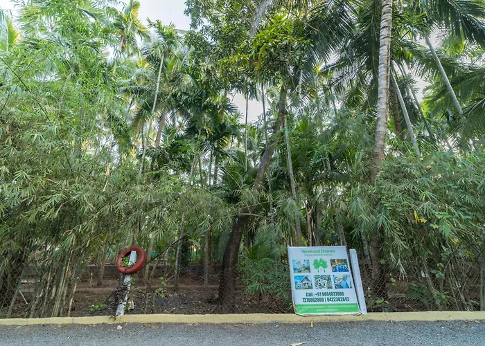 Coconut Beach Farm